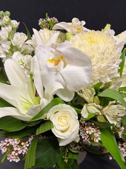 White delight